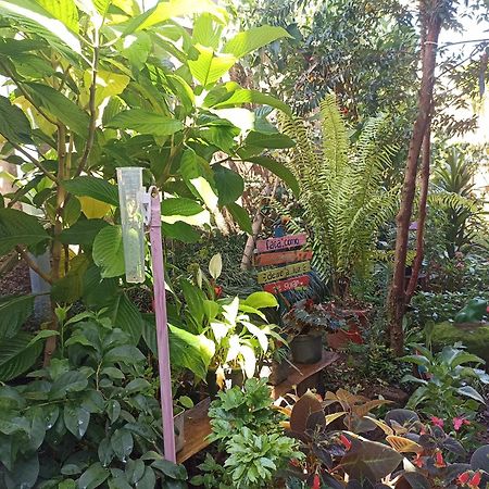 Suites Pico Do Cristal Caparaó Velho Εξωτερικό φωτογραφία